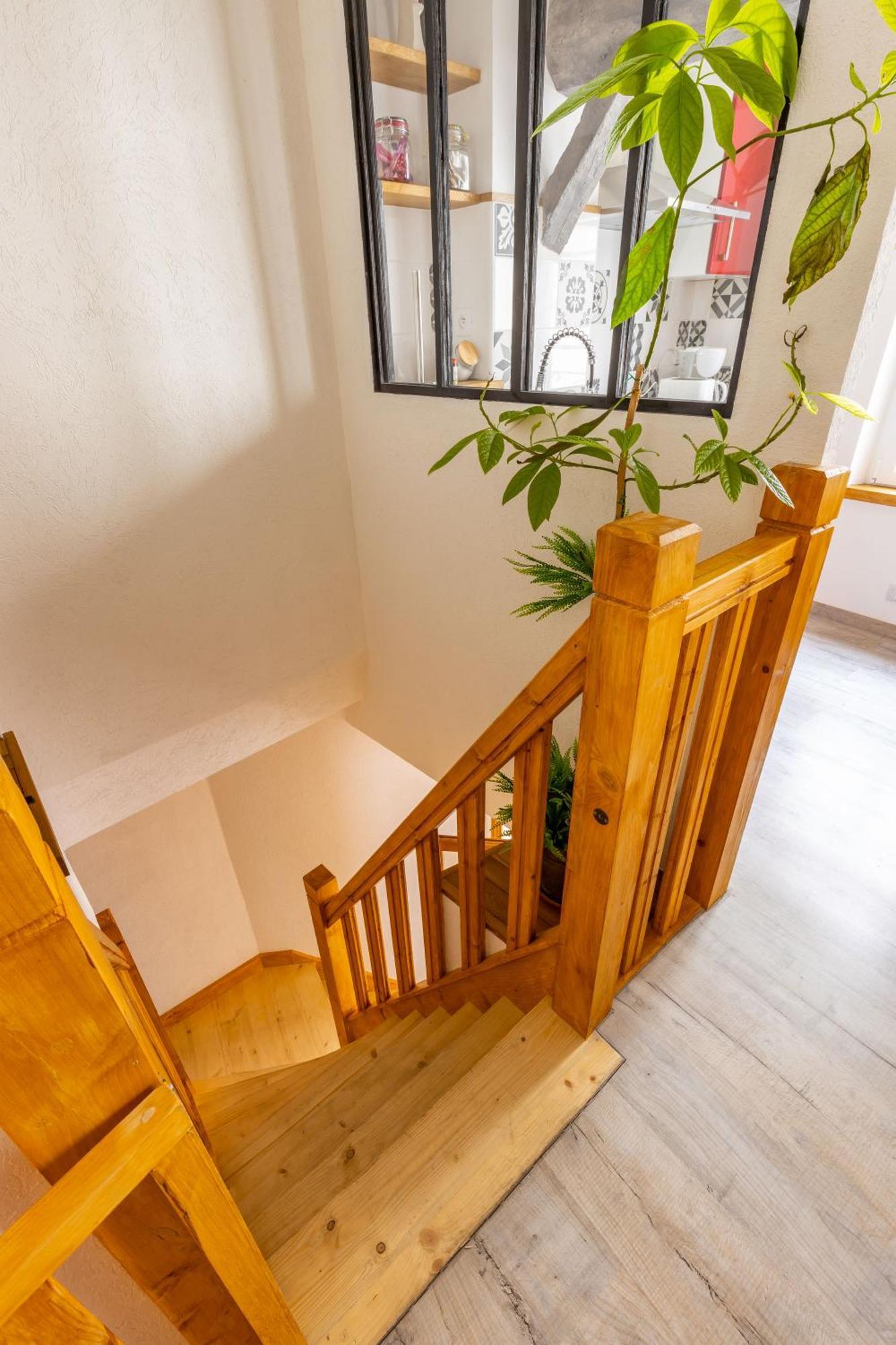 Appartement Faune *
